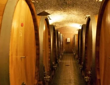 Le cantine Gaja