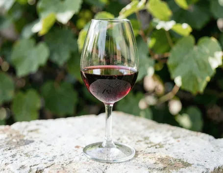 Che cosa rende il Ruchè un rosso aromatico