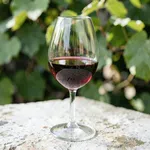Che cosa rende il Ruchè un rosso aromatico