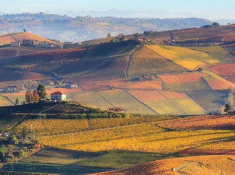 Le Langhe