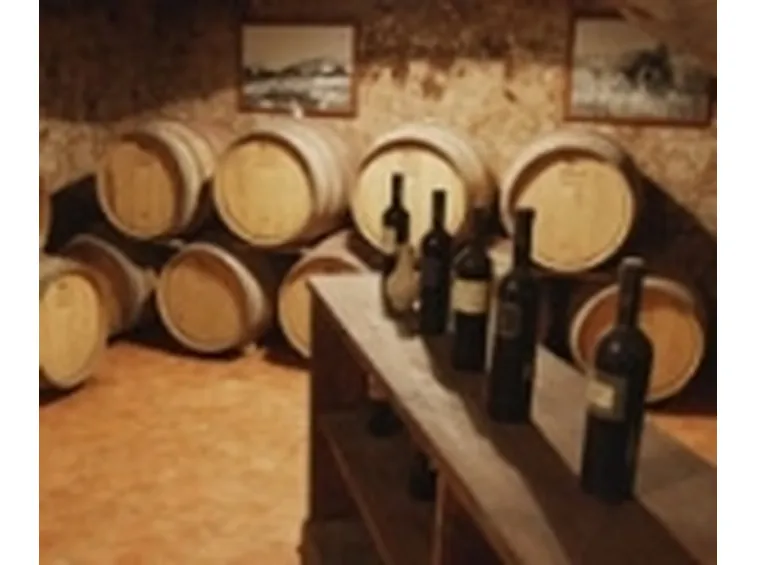 Cantine nel Salento
