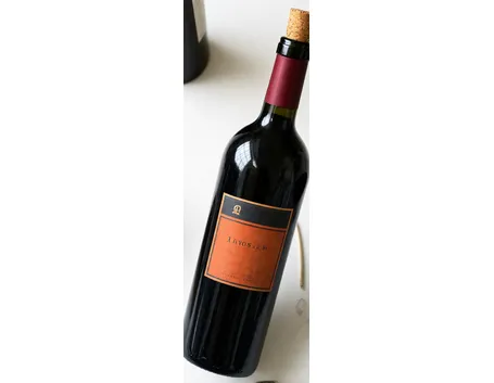 lo Squinzano della Cantina Due Palme