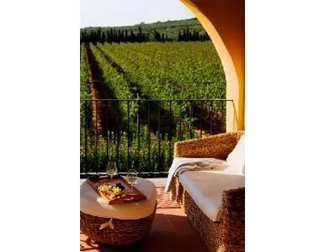vigneti nella zona di Alghero