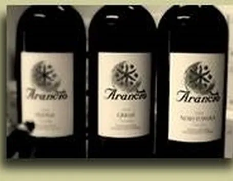 Le belle bottiglie del Sambuca di Sicilia del Feudo Arancio.