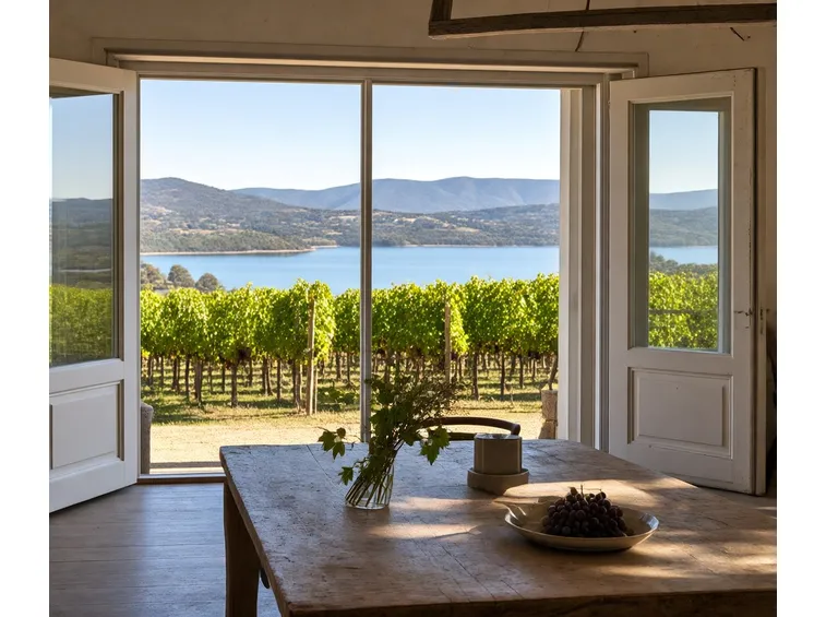 I vigneti della Cantina Ulmo