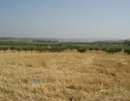 La campagna nei dintorni di Sciacca