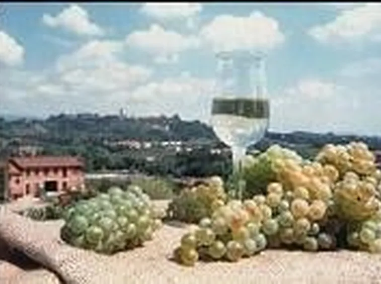Montecarlo 2