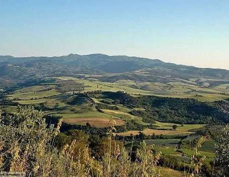 paesaggio1