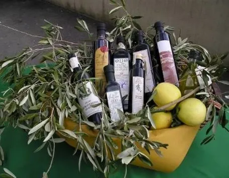 Terratico di Bibbona