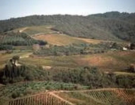 Vin Santo del Chianti Occhio di Pernice