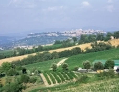 Scorci panoramici della zona