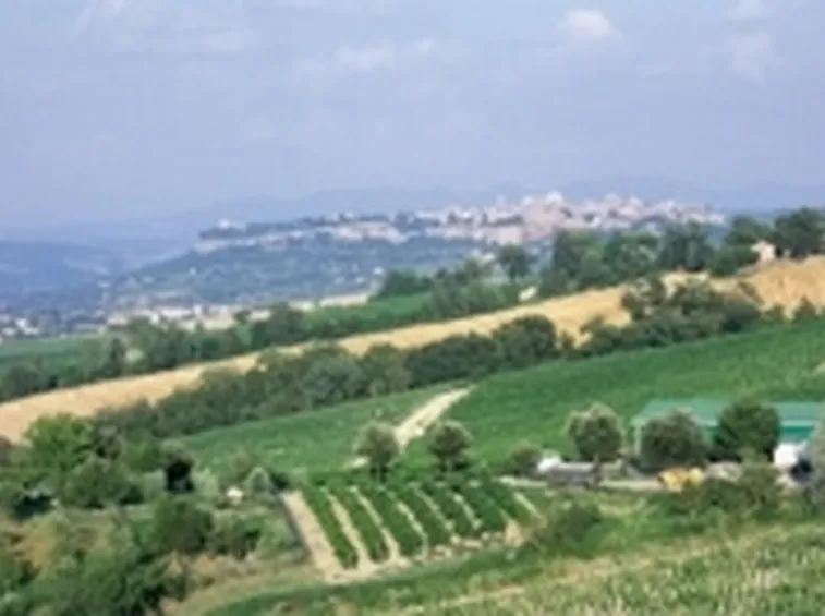 Scorci panoramici della zona