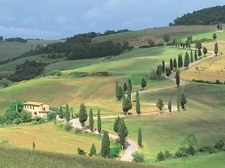 le dolci colline intorno a Orvieto