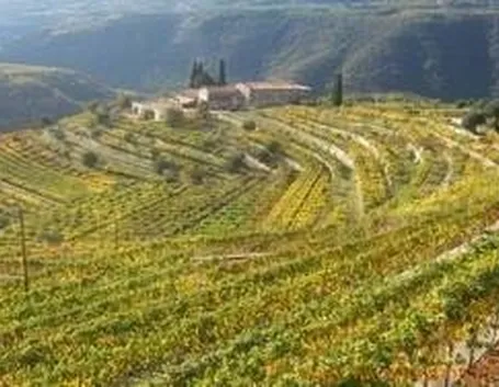 valpolicella