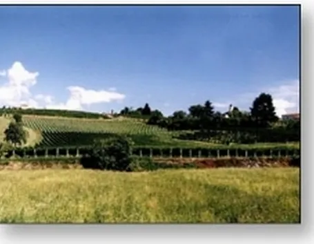 breganze
