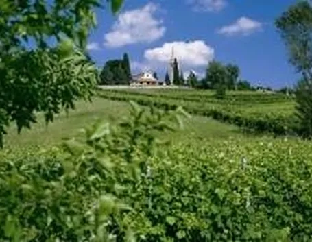 colli di conegliano 