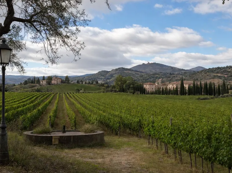 colli di conegliano
