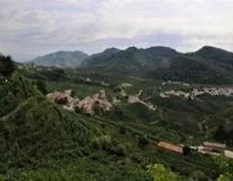 Uno scorcio dei Colli di Conegliano