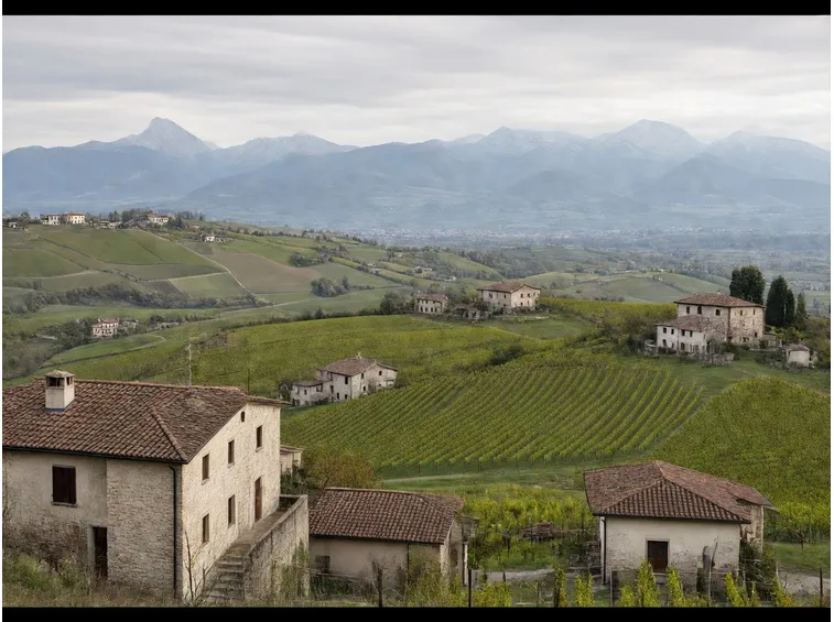 Uno scorcio dei Colli di Conegliano
