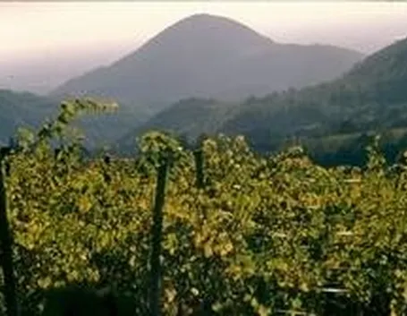 colli euganei