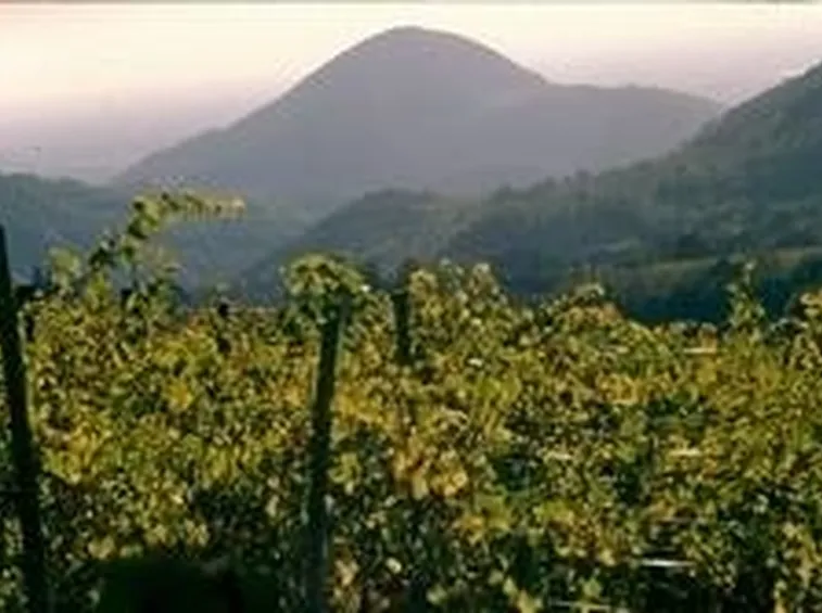 colli euganei