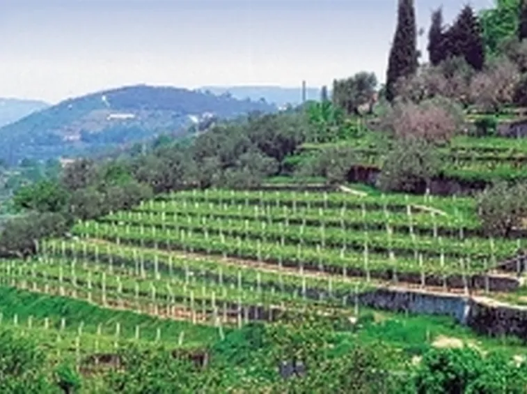 prova