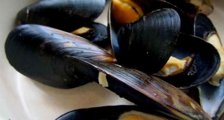 Cozze e formaggio