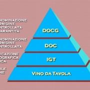 la classificazione dei vari disciplinari