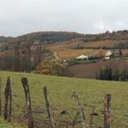 Il panorama alsaziano