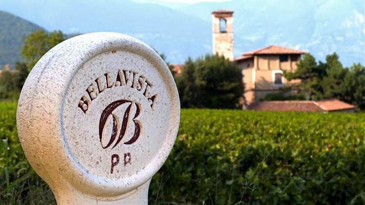 cantina bellavista