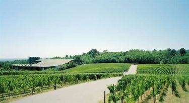 La sinuosa forma della cantina di Ca Del Bosco