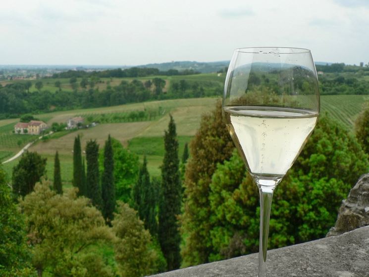 Prosecco Conegliano Valdobbiadene