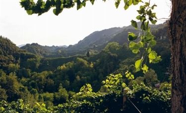 Uno scorcio della zona