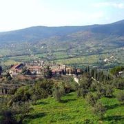 cortona