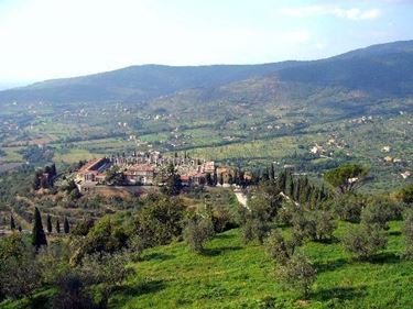 cortona