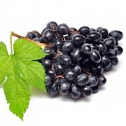 diffuso vitigno di uva nera