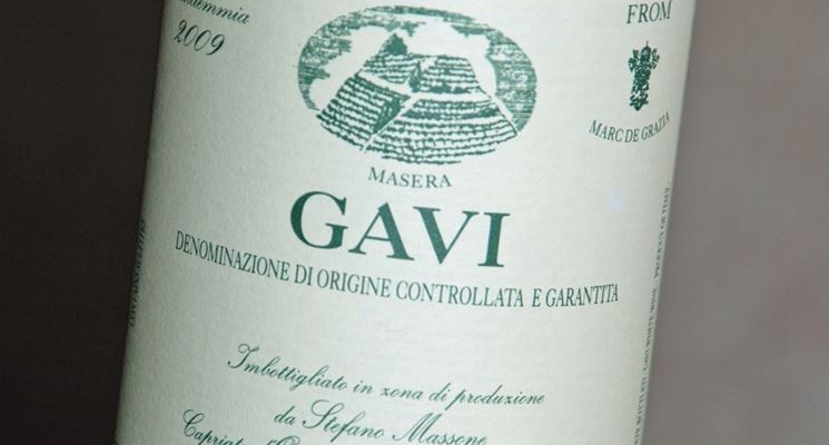 Il Gavi