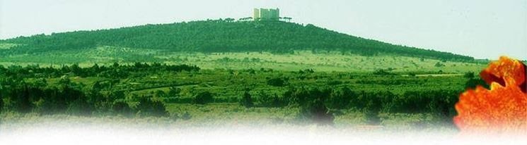 castel del monte