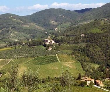 Vigneti nel Chianti