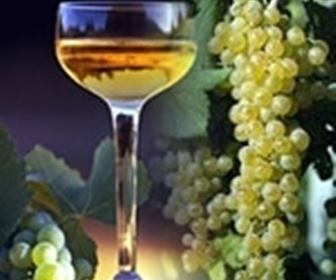 Vino bianco emiliano-romagnolo