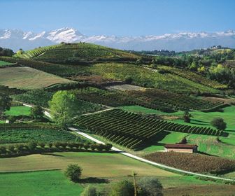 Vino bianco piemontese