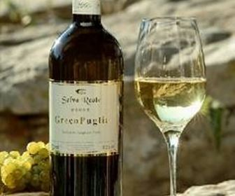 Vino bianco pugliese