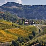 Il panorama delle Colline Bolognesi