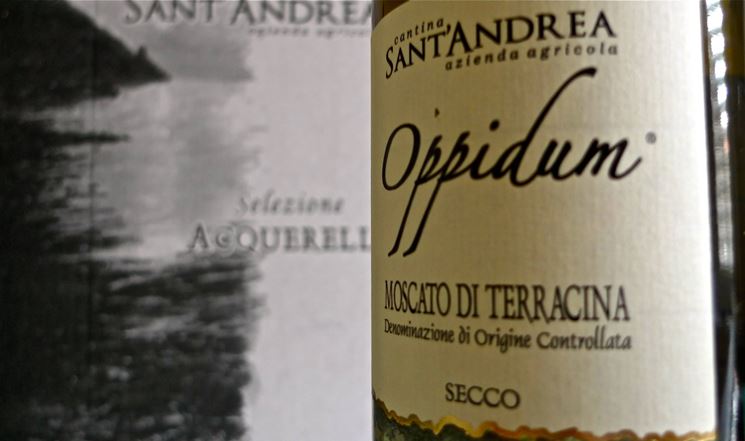 Moscato di terracina doc