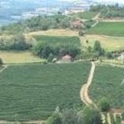 Le colline di Loazzolo