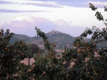 Il panorama di Capalbio