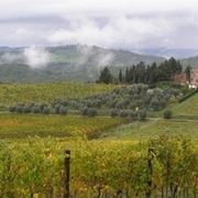 le Colline del Chianti