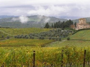 le Colline del Chianti