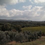 Il dolce panorama delle Colline Lucchesi