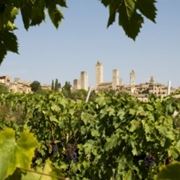 Il Panorama di San Gimignano e i suoi vigneti